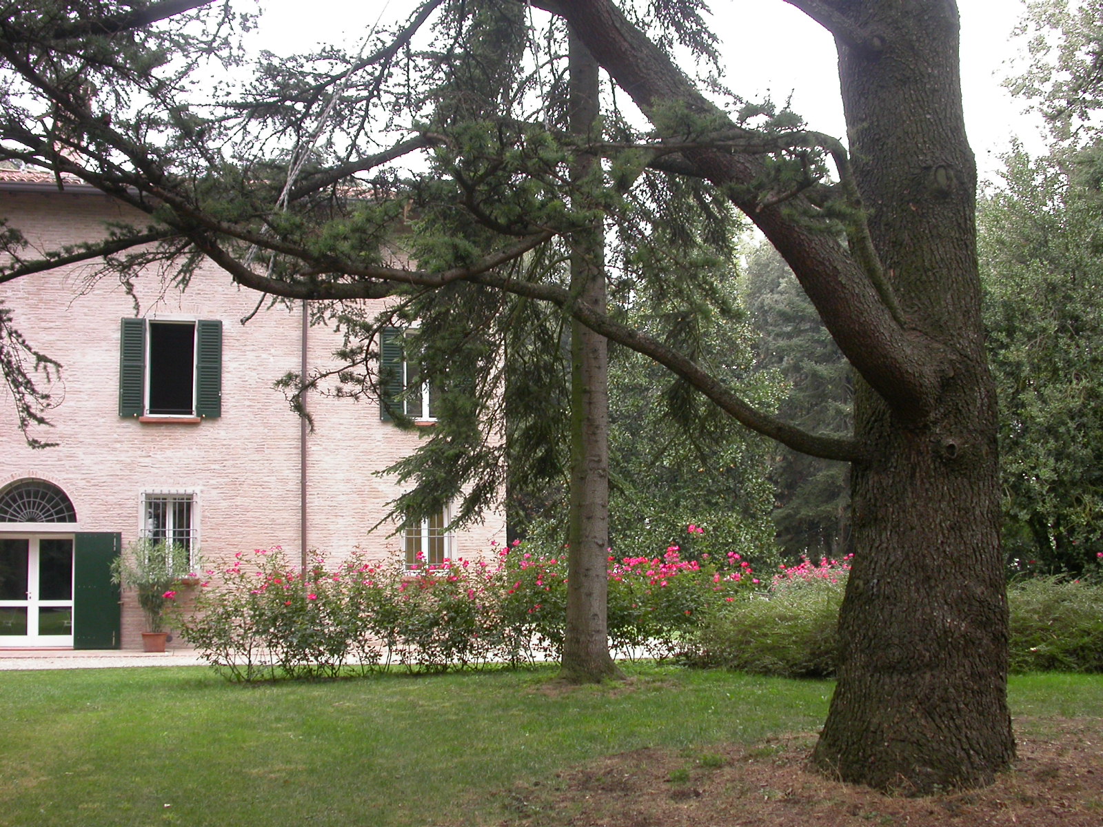 TG Villa La Babina - Imola BO
